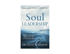 Dr. Steve Robinson - Soul Leadership - Rebound from Crisis, Grow in Resilience, Live from Wholeness